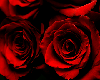 NOCHE DE SAN VALENTIN